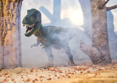 TERRAbyte - Produktfotografie - Referenzen